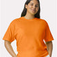 Comfort Colors - 1717 - Draft