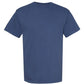 Comfort Colors - 1717 - Draft