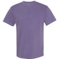 Comfort Colors - 1717 - Draft