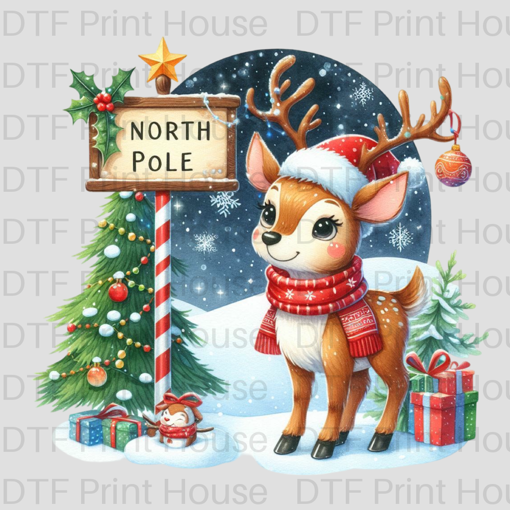 BABY REINDEER NORTH POLE CHRISTMAS DTF TRANSFER